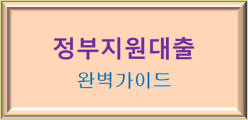 정부지원대출