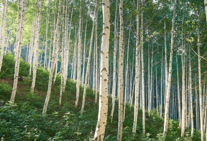 설연휴 가족여행
설연휴 국내 여행지
설연휴 해외여행
설날 가볼만한 곳
설날 연휴 ...도로 통행료
국내 가족여행 추천
설 숙박 쿠폰
설날 연휴 국내여행
평창 발왕산 케이블카
설연휴 제주 여행
설연휴 서울 여행
설 여행 추천
설명절 여행
설명절 국내여행
설연휴 당일 여행