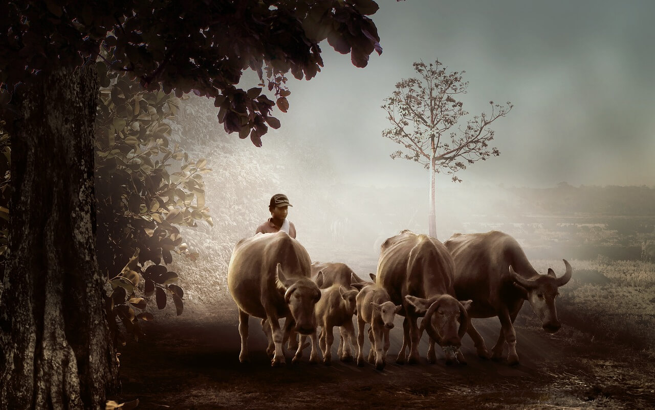 🐮2025년8월소띠운세