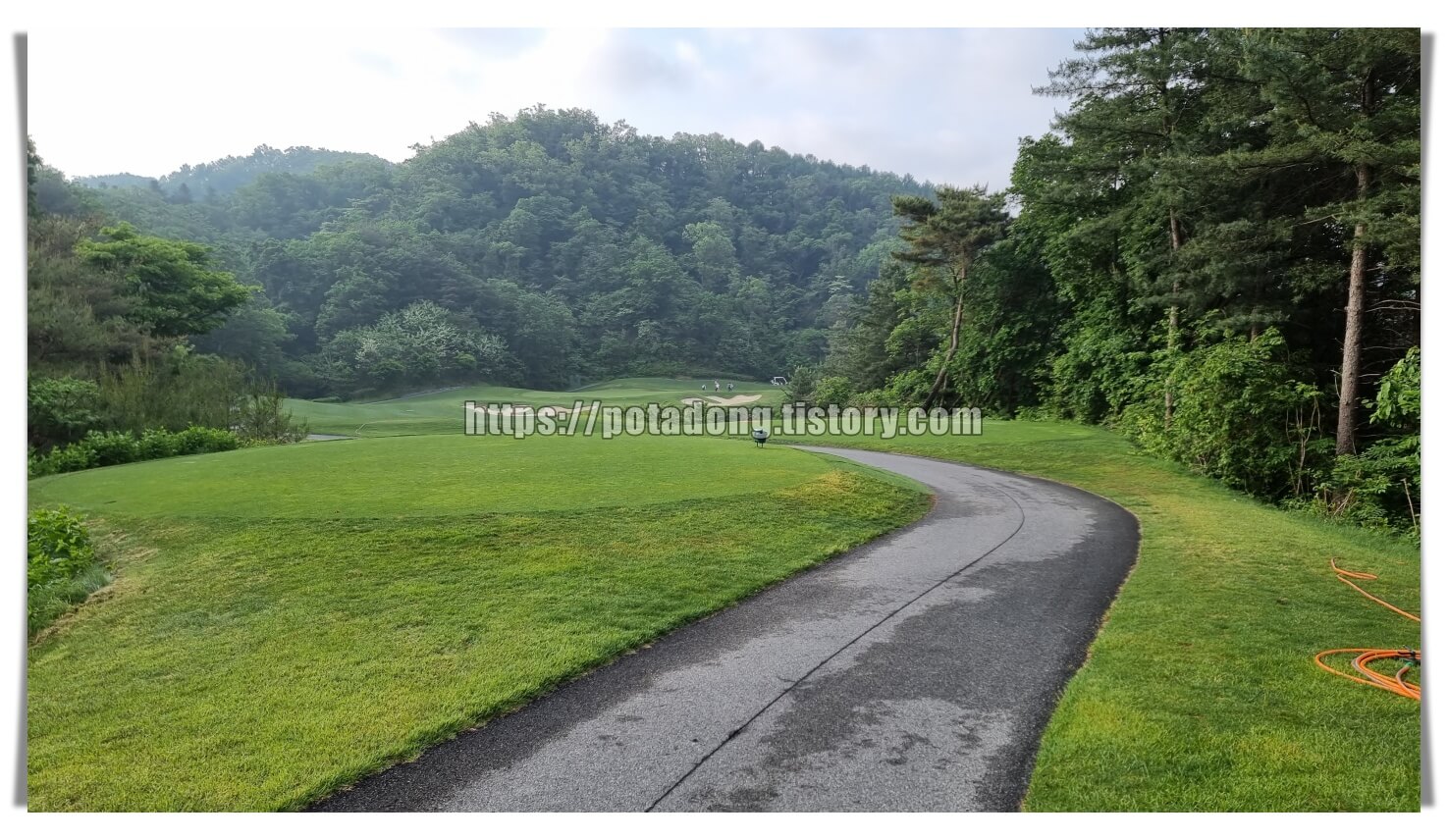 더플레이어스 CC