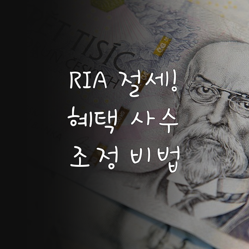 RIA 절세 혜택 유지하며 포트폴리오..