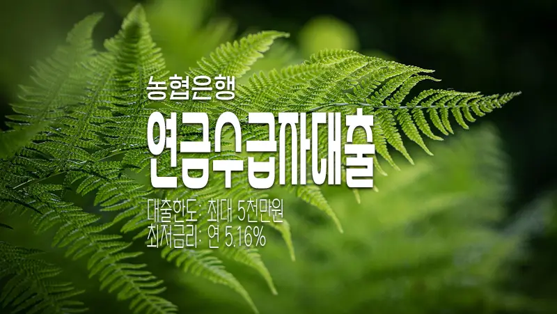 농협은행 NH연금엔대출 공적연금 수령자 전용 비대면 즉시대출