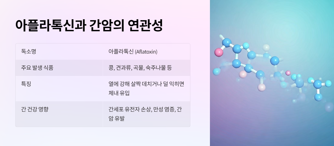 아플라톡신과 간암의 연관성