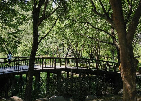 서울 창포원 가는 길 ▶▶ (주차 정보 대중교통 안내)