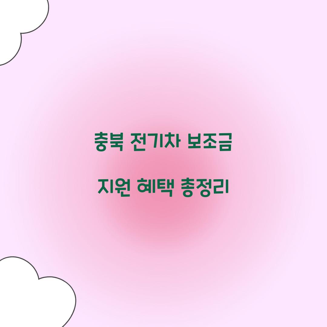 충북 전기차 보조금