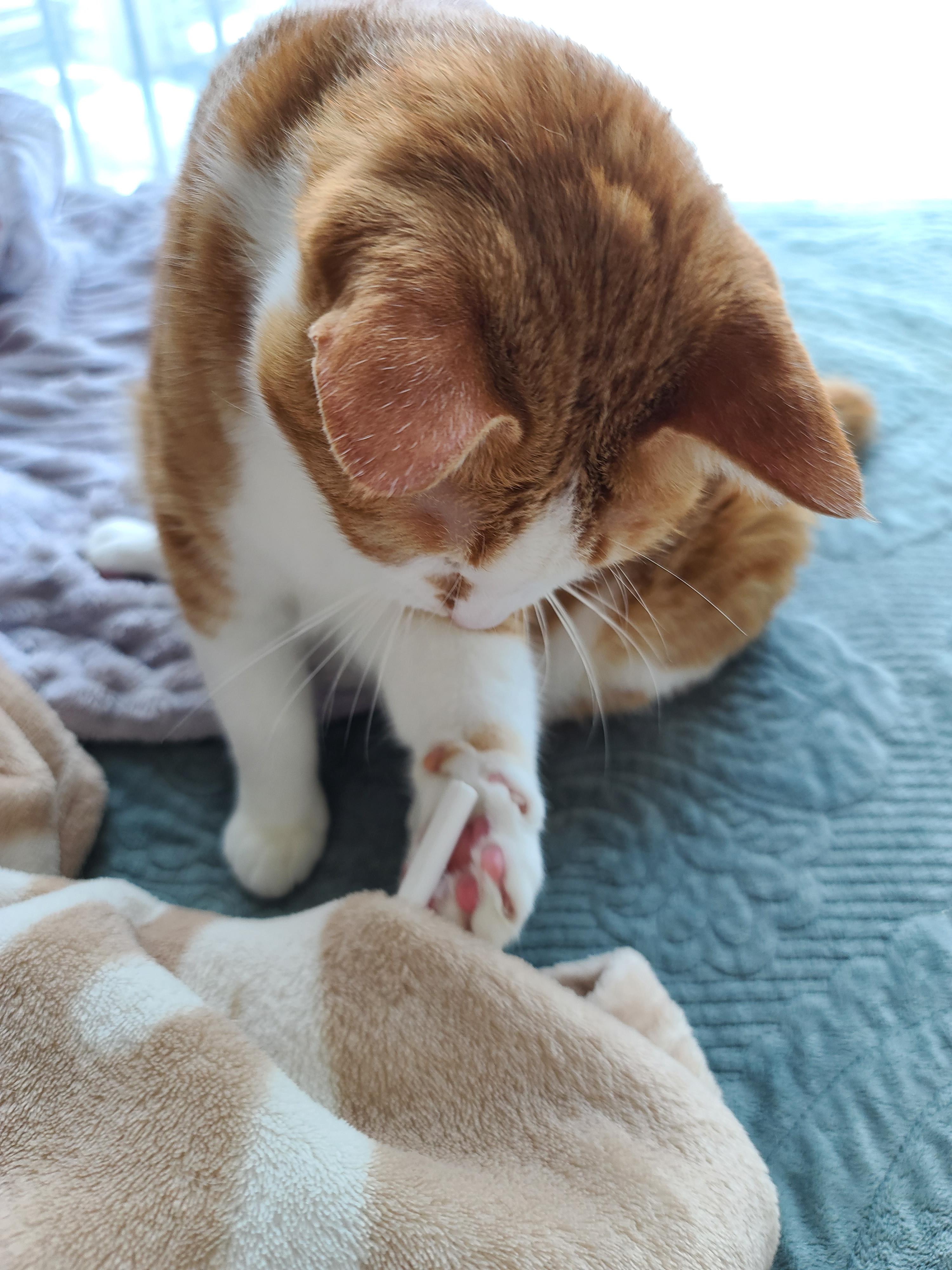 우리집 아이들이 100프로 넘어오는 장난감!