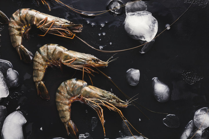 제철 대하 맛있는 시기&amp;#44; 대하 고르는 꿀팁 알아보기 