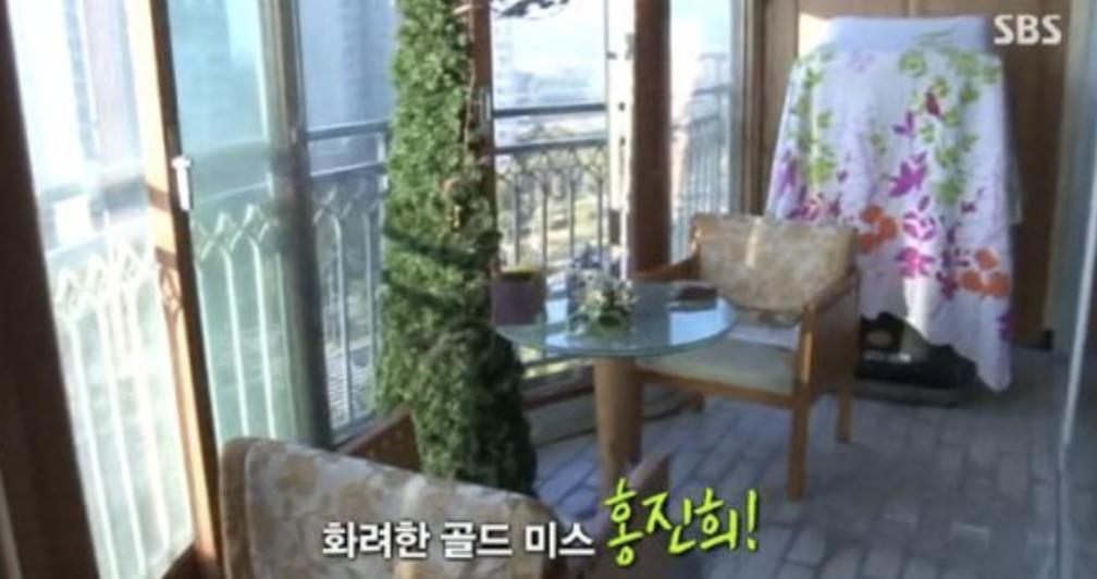 배우 홍진희 집