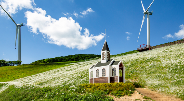 평창 육백마지기