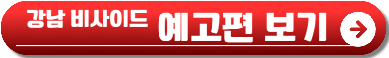 강남 비사이드