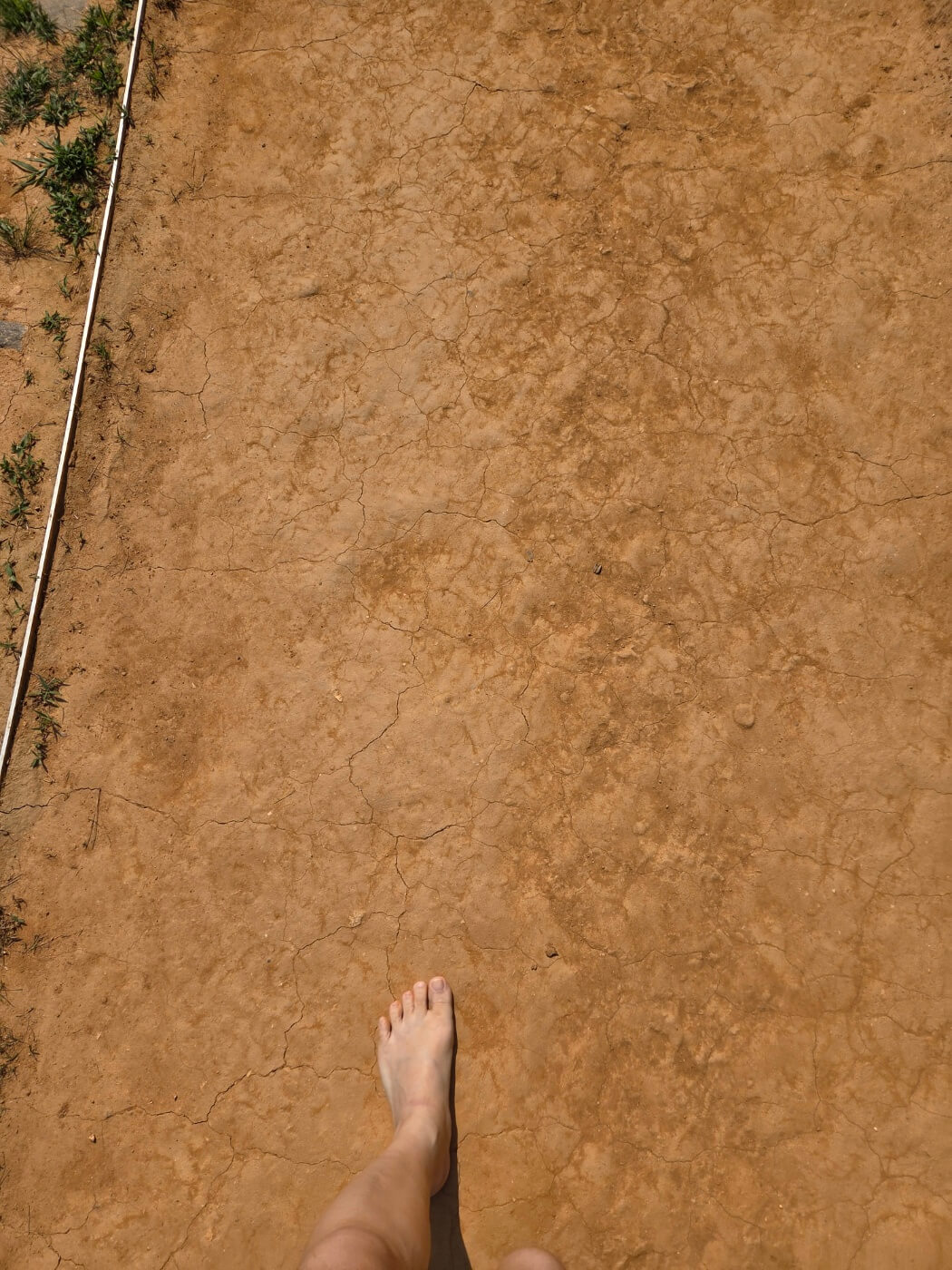 황토 맨발 걷기의 건강 효과의 모든것