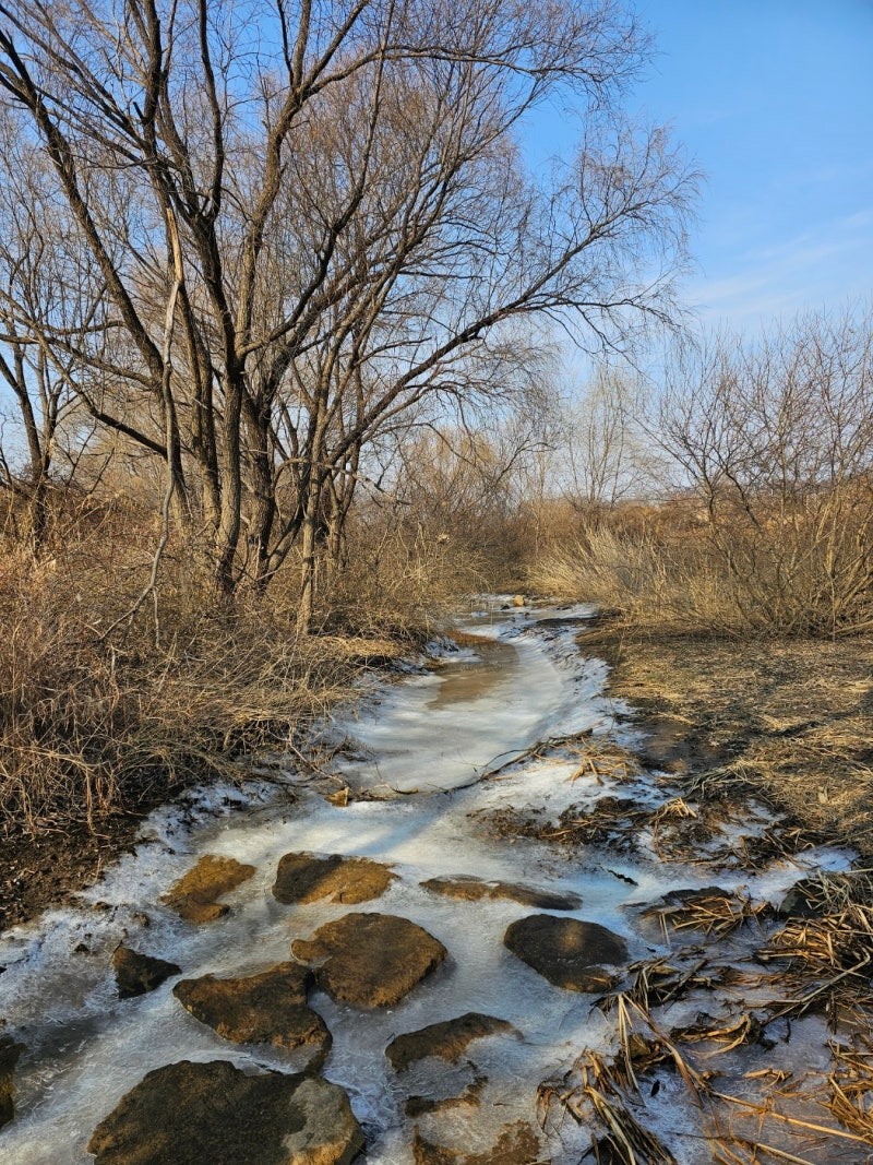 고양시 반려견 겨울 나들이 명소, 강아지와 함께 걷기 좋은 산책 코스