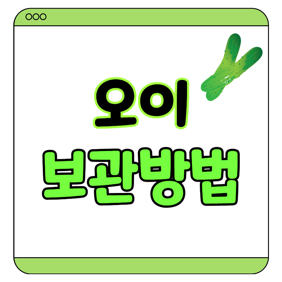 오이 보관법
