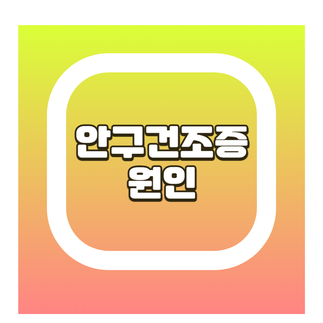 안구건조증 원인