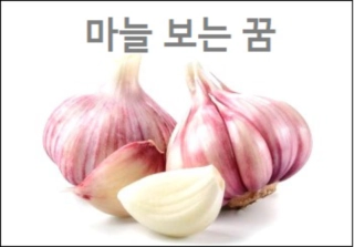 마늘보는꿈