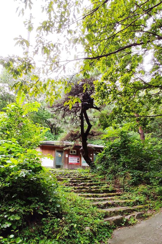 비가 와서 더 운치 있는 F구역 화장실과 개수대