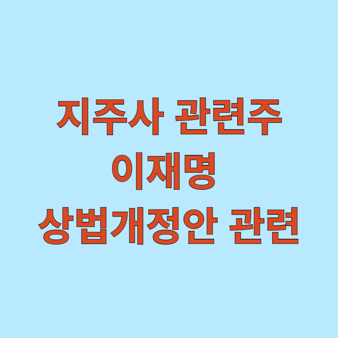 지주사 관련주 - 이재명 상법개정안 관련