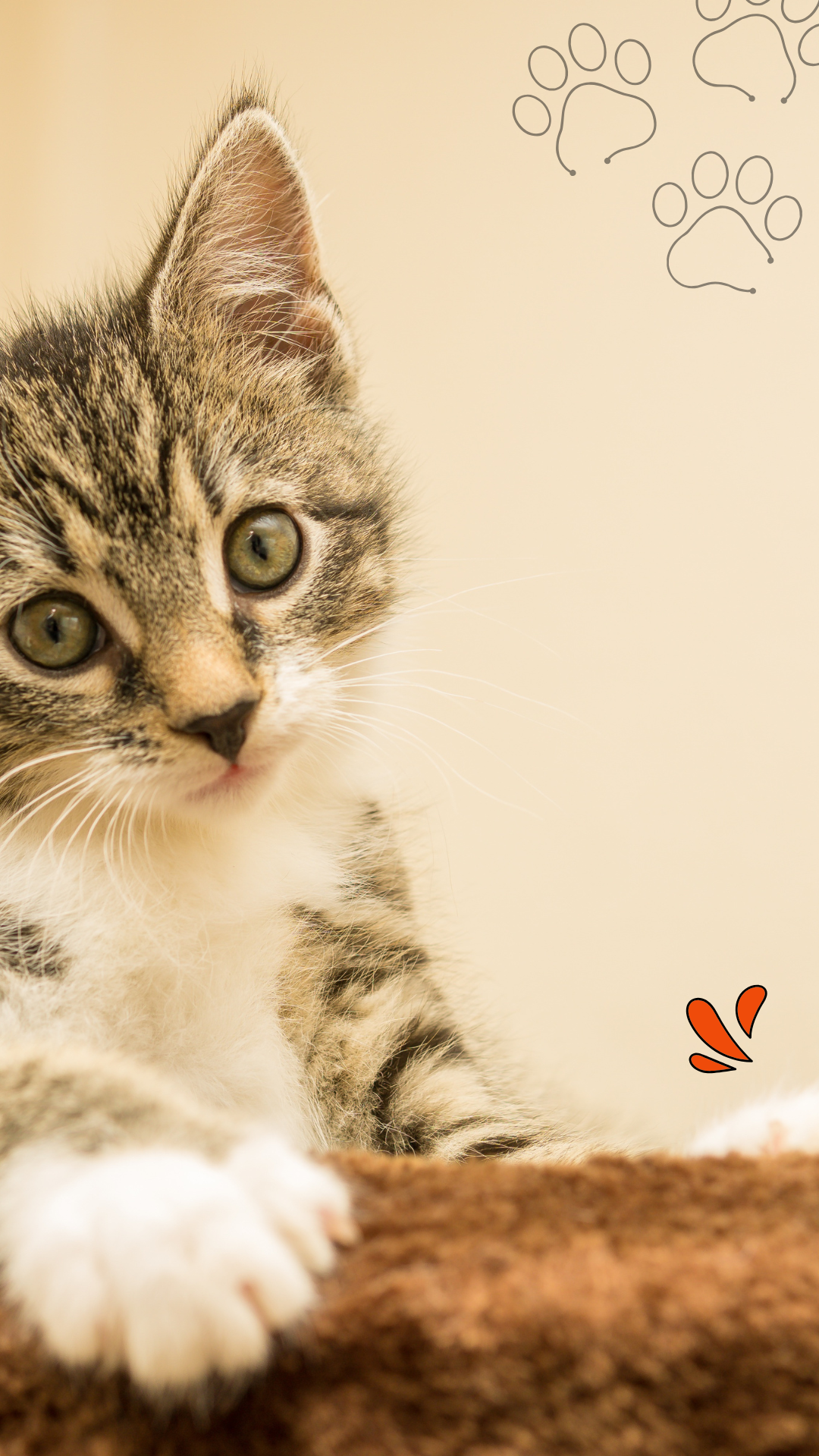 고양이 사진 그림 스마트폰 배경화면 이미지
