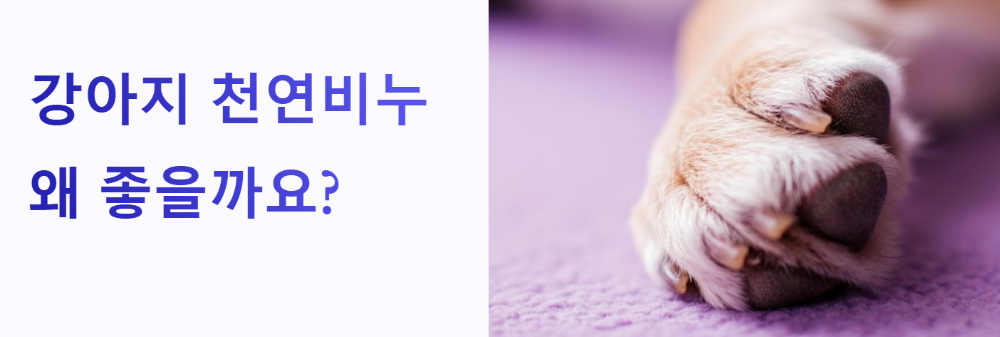 강아지 천연비누, 왜 좋을까요?