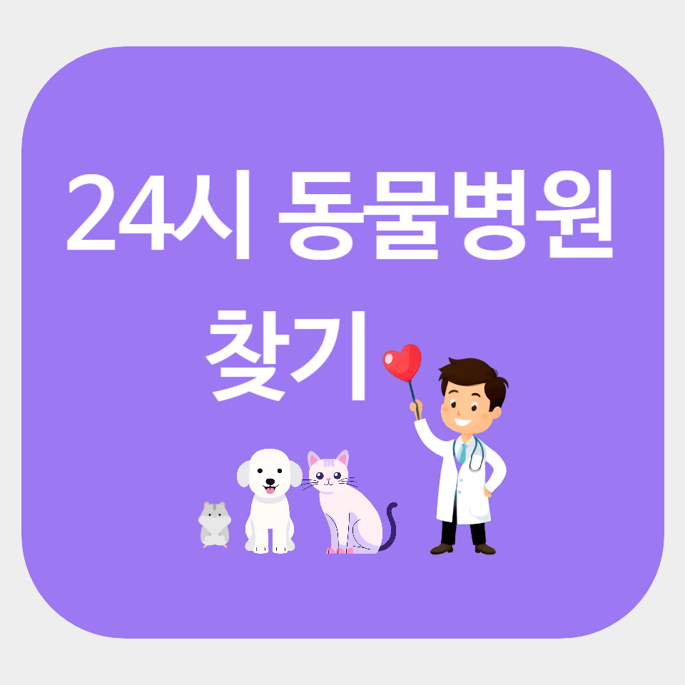 24시 동물병원 찾기