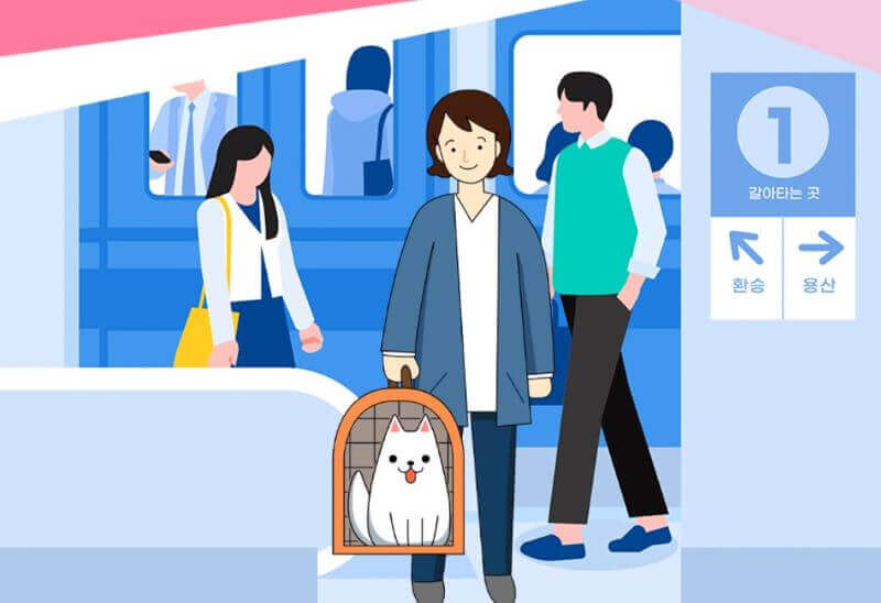 반려동물 대중교통 가이드 <출처 : 국토교통부>