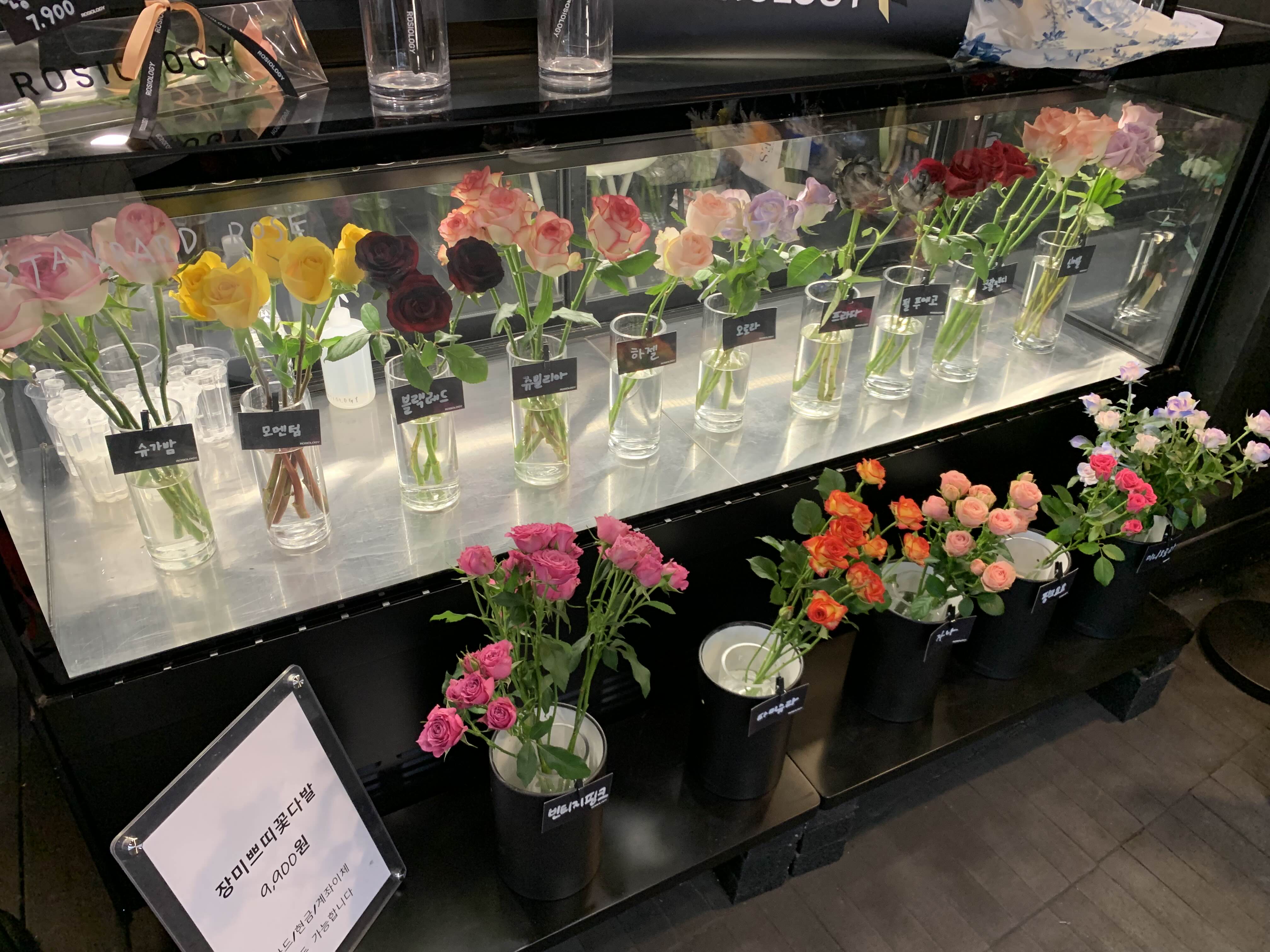 수원 화성 둘레길