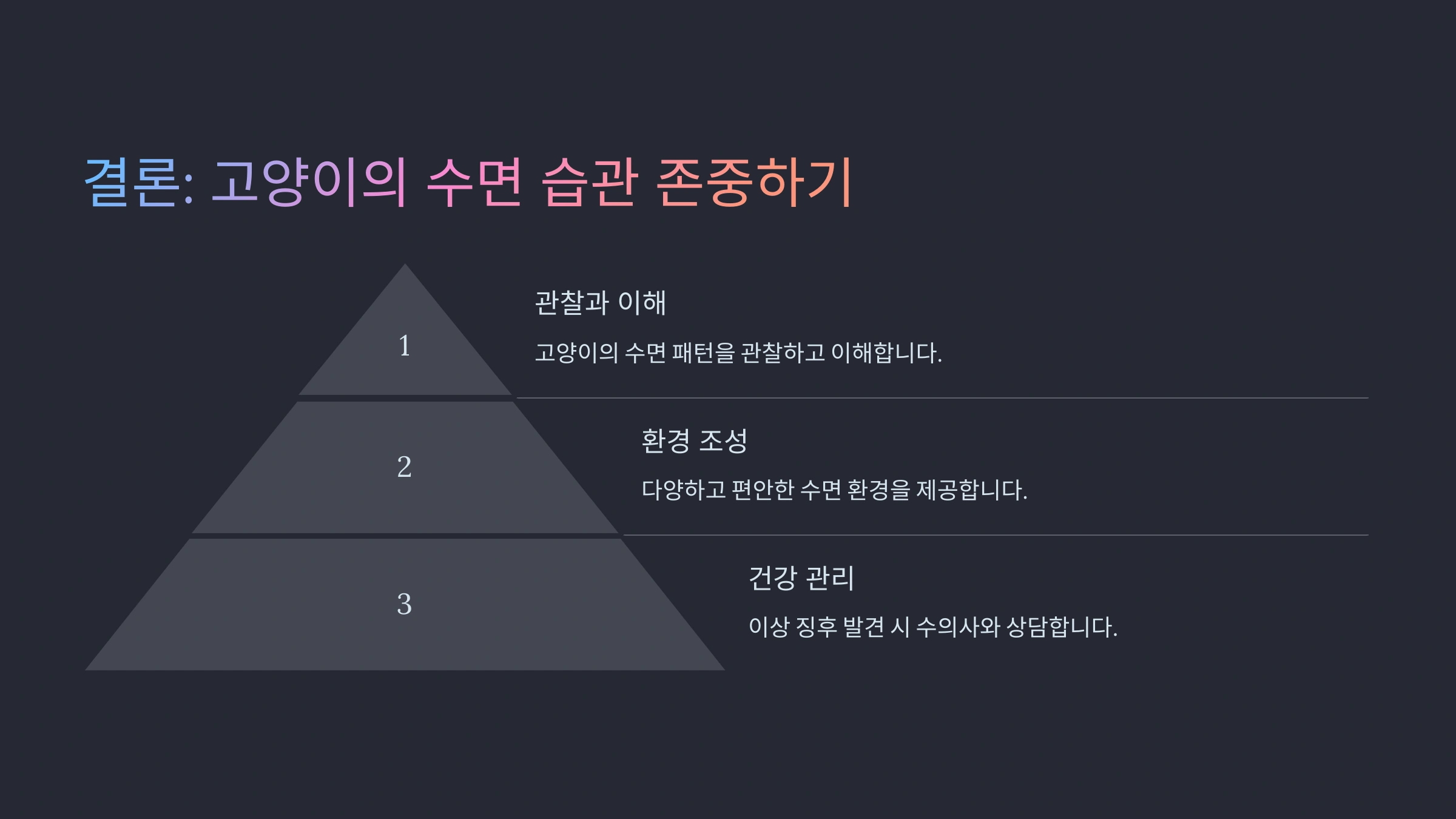 🐱 고양이가 잠자리를 자주 바꾸는 이유와 심리