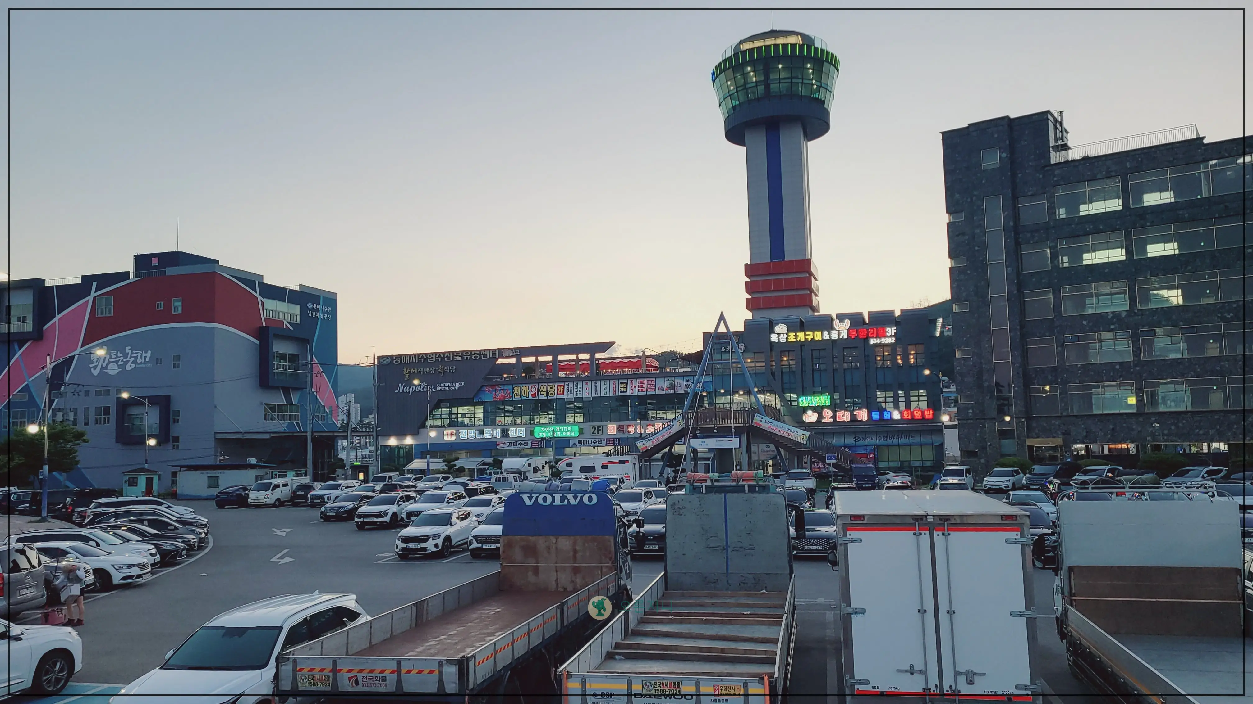 동해-묵호항-회센터