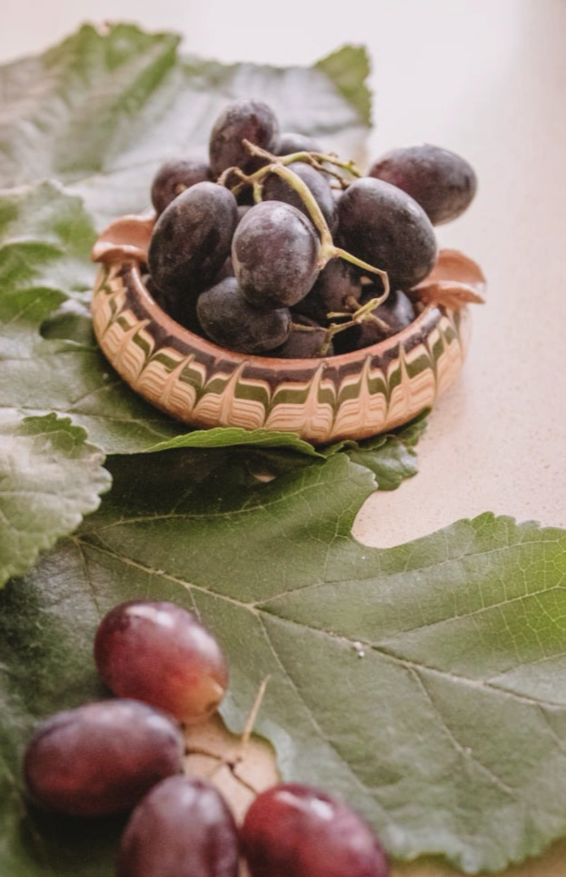 로얄바인 포도 후기, 로얄바인 명품과일 가격, 로얄바인 프리미엄 포도 구매, 로얄바인 선물세트, 프리미엄 과일 수익성 작물, 부자과일 인기순위, 고소득층 과일 추천, 신세계백화점 로얄바인, 명절 고급 과일 선물, 클럽재배 과일 뜻, 명품 과일, 프리미엄 포도, 농가 수익성 작물, 프리미엄 과일 투자, 백화점 과일 선물세트, 추석 과일 선물 추천