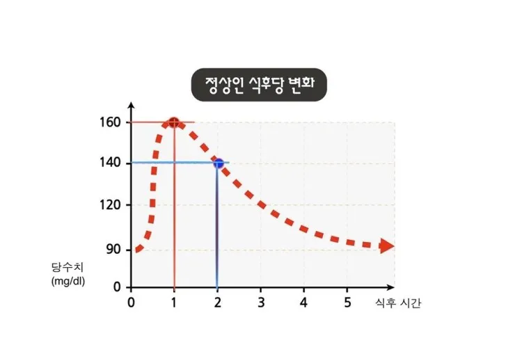 식후 혈당 정상수치를 정리_4