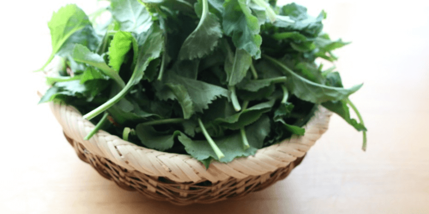 채소 취나물 사진 - 13