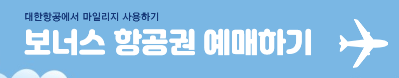 대한항공 보너스 항공권 구매하기