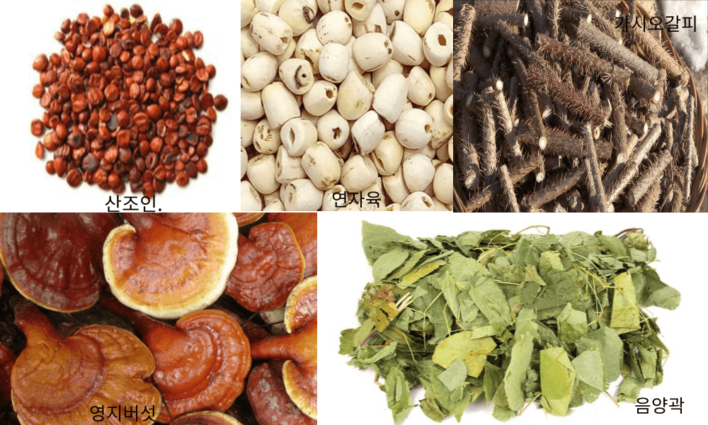 5가지 약초, 산조인, 연자육, 가시오갈피, 영지버섯, 음양곽