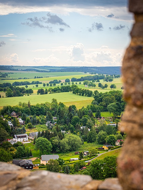 중세 이슬람 세계의 과학과 문화, 지식의 황금 시대