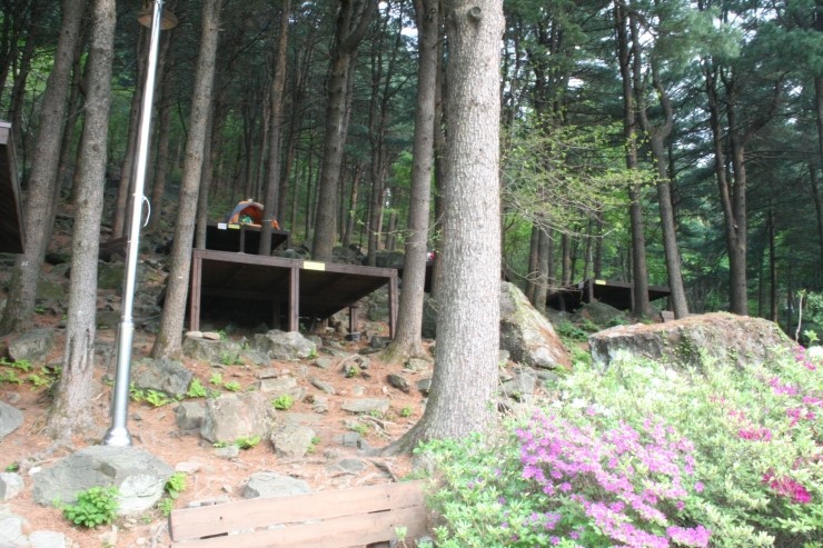 축령산자연휴양림