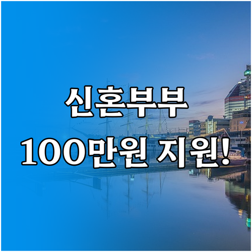 2025 서울시 신혼부부 100만원 ..