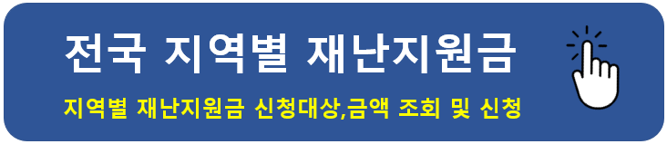 전국 지역별 재난지원금