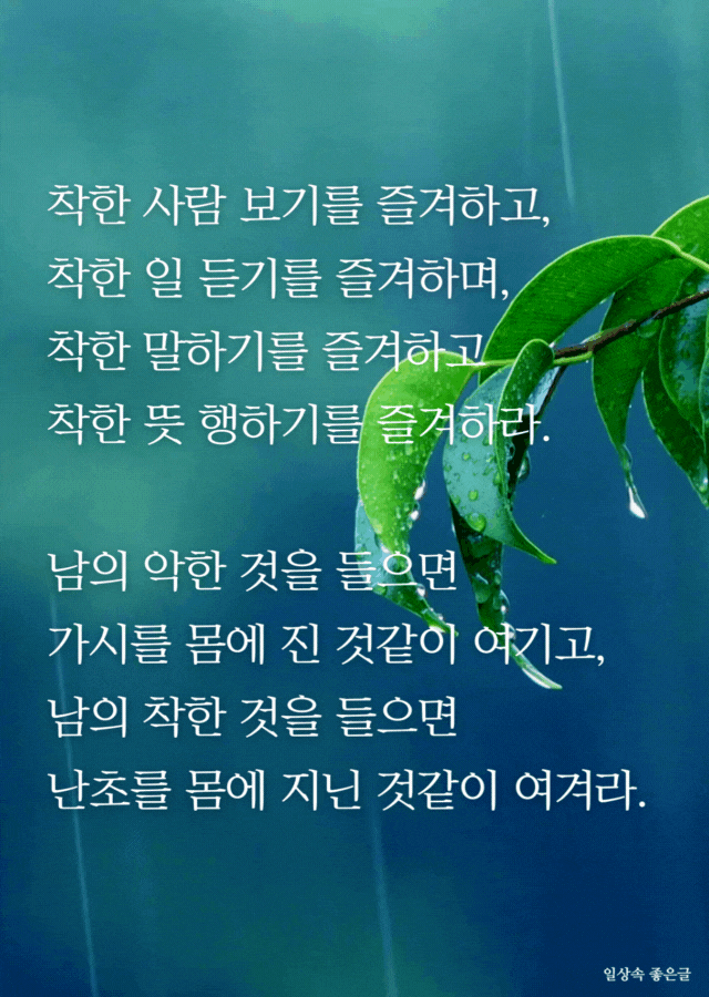 맑은 물방울이 맺힌 초록 잎 위에 착한 말과 행동을 강조한 글귀 이미지