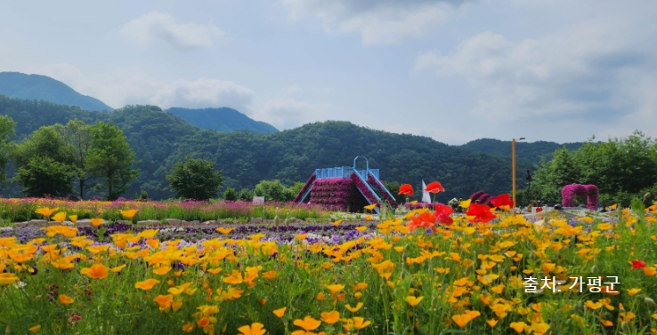 2025 자라섬 꽃 페스타 공연·입장료·주차·가는길·선박까지! 봄꽃축제 꿀팁 한눈에