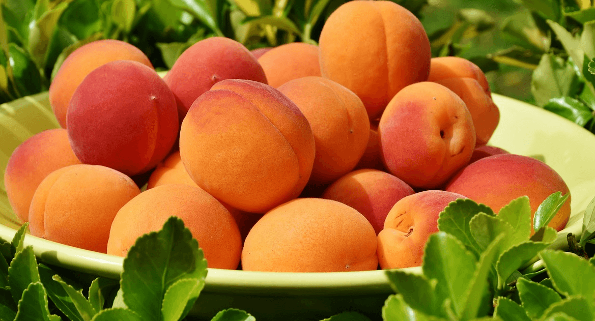 칼륨 많은 음식 사진 - 117