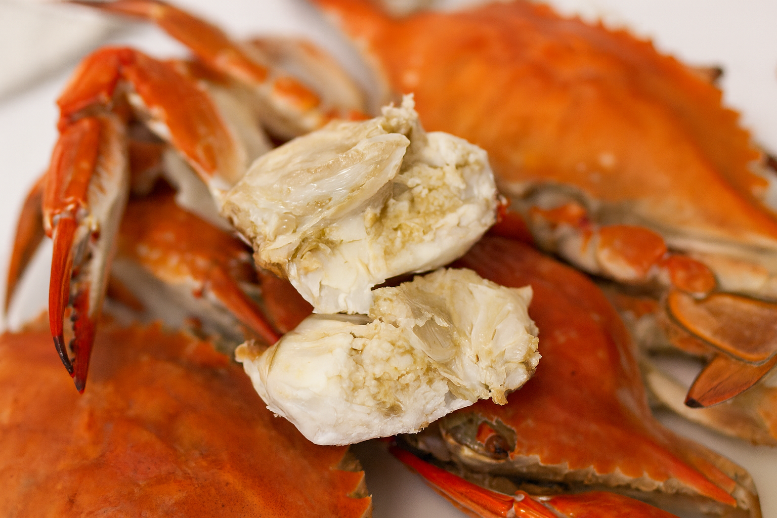 가을 꽃게 맛있게 먹는 꿀팁