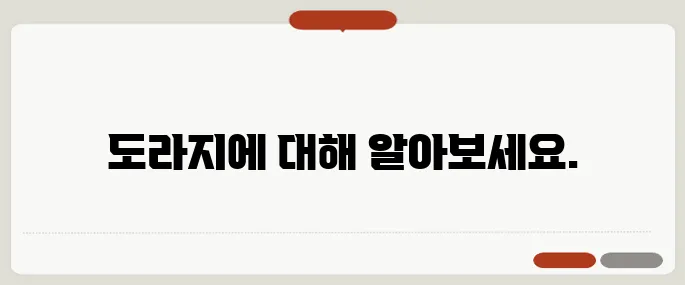 도라지 효능과 부작용 체크 기관지에 진짜 좋은가