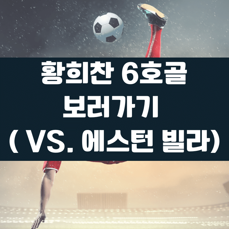 황희찬 골 영상