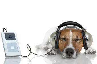 차 한잔하실래요 완벽 힐링 음악_4