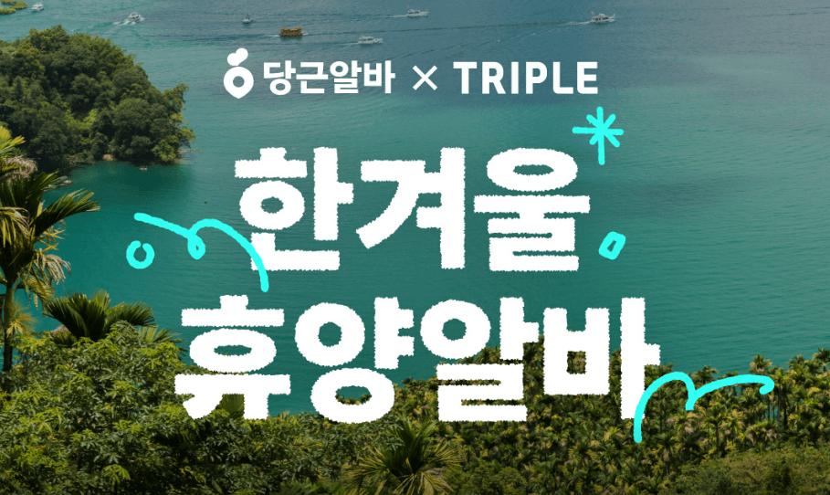 대만 여행지원금 트리플 당근알바
