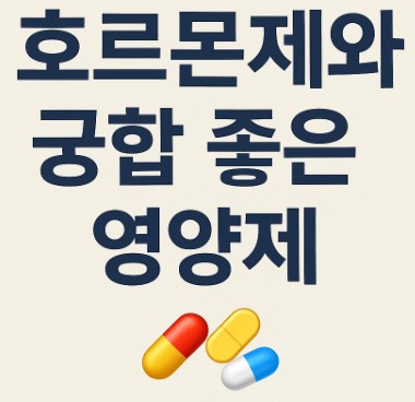 갱년기 여성호르몬제와 궁합 좋은 영양제 안내 사진