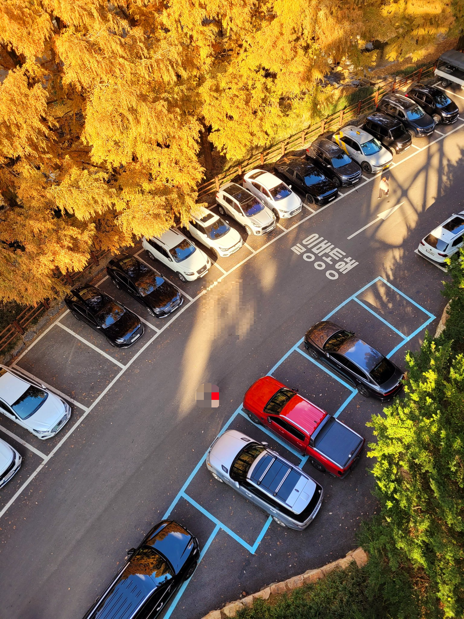 장태산 자연휴양림 스카이웨이 스카이타워 단풍 가을 여행지 대전 03