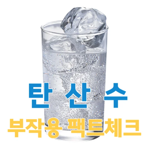 탄산수에 관한 오해와 진실, 팩트체크 해드립니다!
