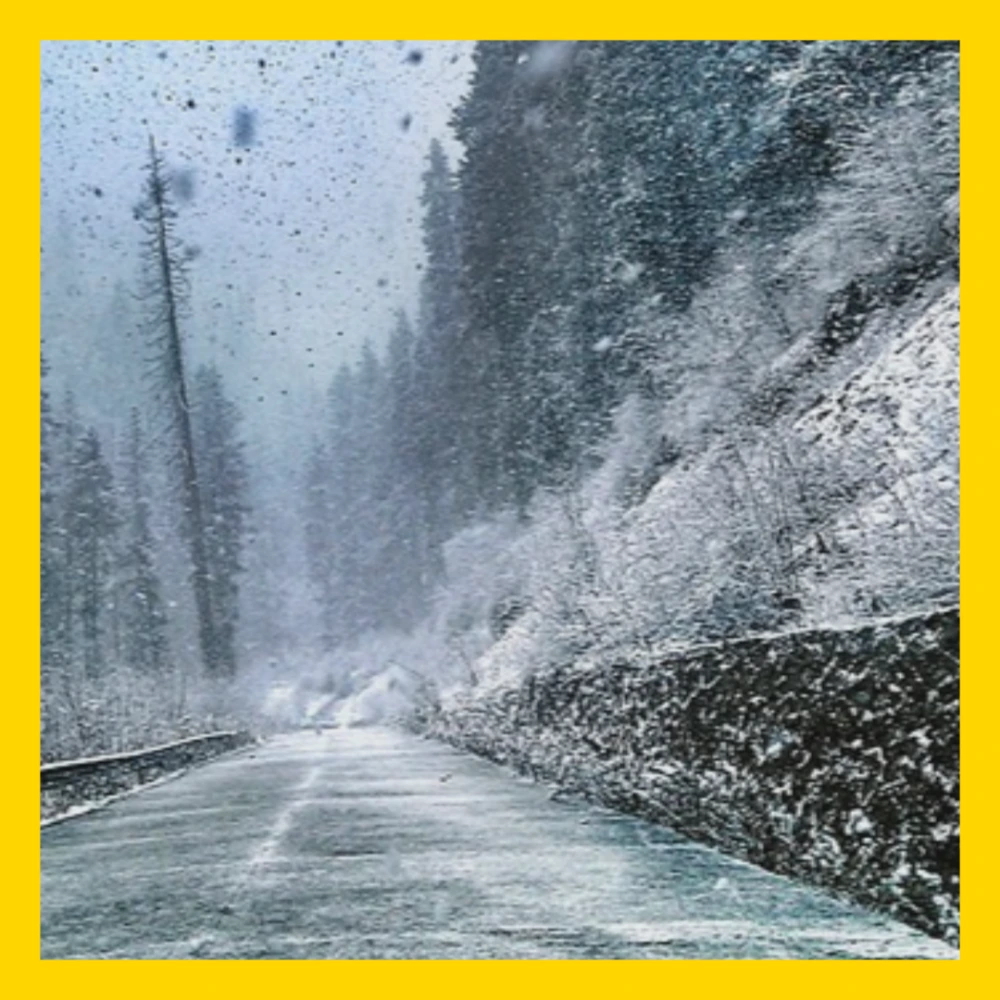 특별재난지역-선포-기준-혜택-선포지역