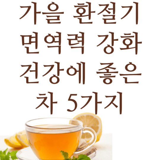 가을 환절기 면역력강화 건강에 좋은 차 5가지